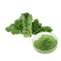 Top Food Grade Organic Kale Powder for Snacks and Weight Control